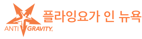 플라잉요가 인 뉴욕